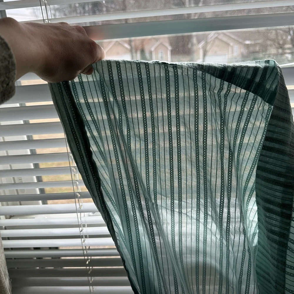 Pair of Curtain Panels